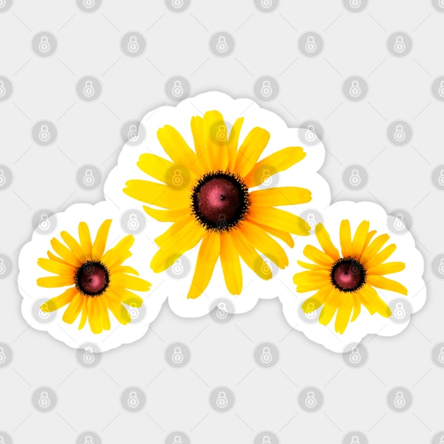 Black Eyed Susans Sticker by Laybov